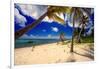 Palm Trees, Grand Cayman Island-George Oze-Framed Photographic Print