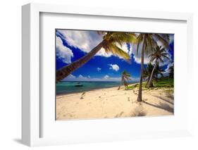 Palm Trees, Grand Cayman Island-George Oze-Framed Photographic Print