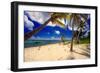 Palm Trees, Grand Cayman Island-George Oze-Framed Photographic Print