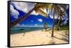 Palm Trees, Grand Cayman Island-George Oze-Framed Stretched Canvas