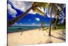 Palm Trees, Grand Cayman Island-George Oze-Stretched Canvas