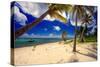 Palm Trees, Grand Cayman Island-George Oze-Stretched Canvas