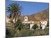 Palm Trees, Houses and Church at Betancuria, on Fuerteventura in the Canary Islands, Spain, Europe-Lightfoot Jeremy-Mounted Photographic Print