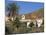 Palm Trees, Houses and Church at Betancuria, on Fuerteventura in the Canary Islands, Spain, Europe-Lightfoot Jeremy-Mounted Photographic Print