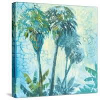 Palm Trees II-Gregory Gorham-Stretched Canvas