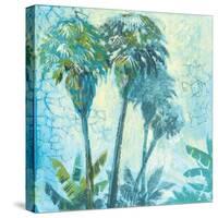 Palm Trees II-Gregory Gorham-Stretched Canvas