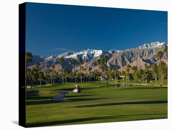 Palm Trees in a Golf Course, Desert Princess Country Club, Palm Springs, California-null-Stretched Canvas