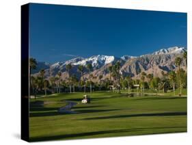 Palm Trees in a Golf Course, Desert Princess Country Club, Palm Springs, California-null-Stretched Canvas