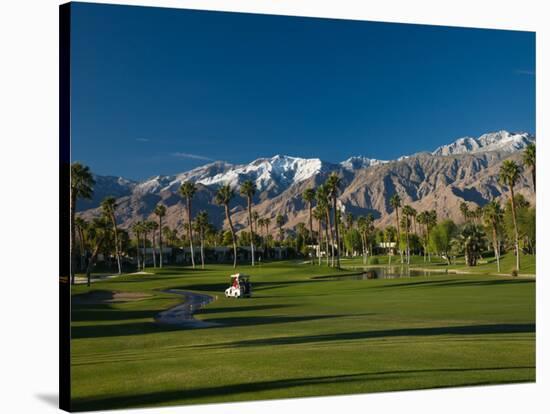 Palm Trees in a Golf Course, Desert Princess Country Club, Palm Springs, California-null-Stretched Canvas