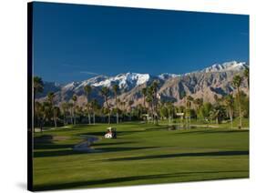 Palm Trees in a Golf Course, Desert Princess Country Club, Palm Springs, California-null-Stretched Canvas