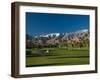 Palm Trees in a Golf Course, Desert Princess Country Club, Palm Springs, California-null-Framed Premium Photographic Print