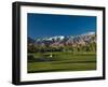 Palm Trees in a Golf Course, Desert Princess Country Club, Palm Springs, California-null-Framed Premium Photographic Print