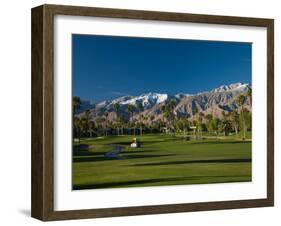 Palm Trees in a Golf Course, Desert Princess Country Club, Palm Springs, California-null-Framed Photographic Print