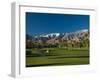 Palm Trees in a Golf Course, Desert Princess Country Club, Palm Springs, California-null-Framed Photographic Print