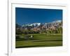 Palm Trees in a Golf Course, Desert Princess Country Club, Palm Springs, California-null-Framed Photographic Print