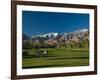 Palm Trees in a Golf Course, Desert Princess Country Club, Palm Springs, California-null-Framed Photographic Print