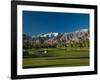 Palm Trees in a Golf Course, Desert Princess Country Club, Palm Springs, California-null-Framed Photographic Print