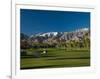 Palm Trees in a Golf Course, Desert Princess Country Club, Palm Springs, California-null-Framed Photographic Print