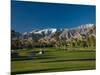 Palm Trees in a Golf Course, Desert Princess Country Club, Palm Springs, California-null-Mounted Photographic Print