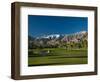 Palm Trees in a Golf Course, Desert Princess Country Club, Palm Springs, California-null-Framed Photographic Print