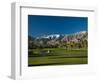 Palm Trees in a Golf Course, Desert Princess Country Club, Palm Springs, California-null-Framed Photographic Print