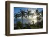 Palm trees in backlight in Niue, South Pacific, Pacific-Michael Runkel-Framed Photographic Print