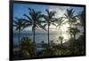 Palm trees in backlight in Niue, South Pacific, Pacific-Michael Runkel-Framed Photographic Print