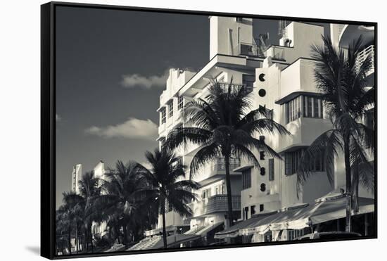 Palm trees in front of art Deco hotels, Ocean Drive, South Beach, Miami Beach, Miami-Dade County...-Panoramic Images-Framed Stretched Canvas
