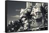 Palm trees in front of art Deco hotels, Ocean Drive, South Beach, Miami Beach, Miami-Dade County...-Panoramic Images-Framed Stretched Canvas