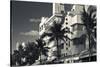 Palm trees in front of art Deco hotels, Ocean Drive, South Beach, Miami Beach, Miami-Dade County...-Panoramic Images-Stretched Canvas