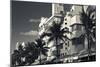 Palm trees in front of art Deco hotels, Ocean Drive, South Beach, Miami Beach, Miami-Dade County...-Panoramic Images-Mounted Photographic Print