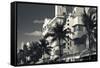 Palm trees in front of art Deco hotels, Ocean Drive, South Beach, Miami Beach, Miami-Dade County...-Panoramic Images-Framed Stretched Canvas