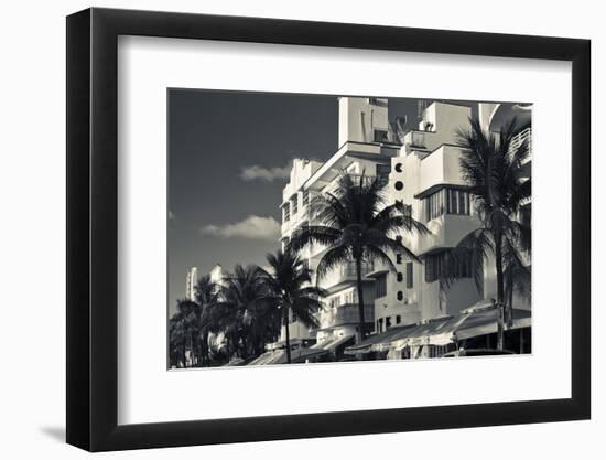 Palm trees in front of art Deco hotels, Ocean Drive, South Beach, Miami Beach, Miami-Dade County...-Panoramic Images-Framed Photographic Print