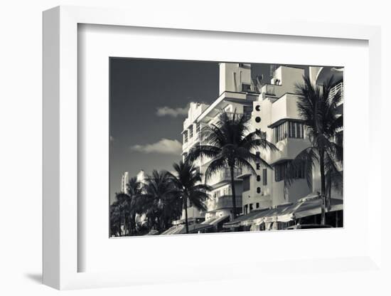 Palm trees in front of art Deco hotels, Ocean Drive, South Beach, Miami Beach, Miami-Dade County...-Panoramic Images-Framed Photographic Print