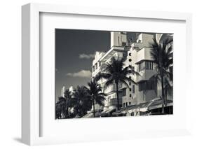 Palm trees in front of art Deco hotels, Ocean Drive, South Beach, Miami Beach, Miami-Dade County...-Panoramic Images-Framed Photographic Print