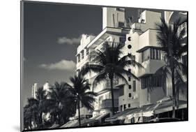 Palm trees in front of art Deco hotels, Ocean Drive, South Beach, Miami Beach, Miami-Dade County...-Panoramic Images-Mounted Photographic Print