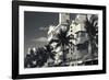 Palm trees in front of art Deco hotels, Ocean Drive, South Beach, Miami Beach, Miami-Dade County...-Panoramic Images-Framed Photographic Print