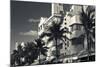 Palm trees in front of art Deco hotels, Ocean Drive, South Beach, Miami Beach, Miami-Dade County...-Panoramic Images-Mounted Photographic Print