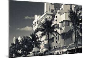 Palm trees in front of art Deco hotels, Ocean Drive, South Beach, Miami Beach, Miami-Dade County...-Panoramic Images-Mounted Photographic Print