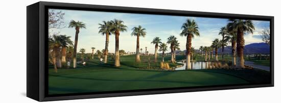 Palm Trees in Golf Course, Desert Springs Golf Course, Palm Springs, Riverside County, California-null-Framed Stretched Canvas