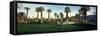 Palm Trees in Golf Course, Desert Springs Golf Course, Palm Springs, Riverside County, California-null-Framed Stretched Canvas