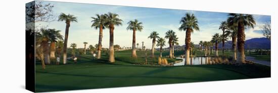 Palm Trees in Golf Course, Desert Springs Golf Course, Palm Springs, Riverside County, California-null-Stretched Canvas