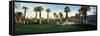 Palm Trees in Golf Course, Desert Springs Golf Course, Palm Springs, Riverside County, California-null-Framed Stretched Canvas