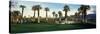 Palm Trees in Golf Course, Desert Springs Golf Course, Palm Springs, Riverside County, California-null-Stretched Canvas