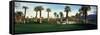 Palm Trees in Golf Course, Desert Springs Golf Course, Palm Springs, Riverside County, California-null-Framed Stretched Canvas