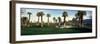 Palm Trees in Golf Course, Desert Springs Golf Course, Palm Springs, Riverside County, California-null-Framed Photographic Print