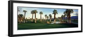 Palm Trees in Golf Course, Desert Springs Golf Course, Palm Springs, Riverside County, California-null-Framed Photographic Print
