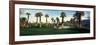 Palm Trees in Golf Course, Desert Springs Golf Course, Palm Springs, Riverside County, California-null-Framed Photographic Print