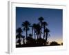 Palm Trees in Silhouette at Dawn, on Edge of Sahara Desert Near Morocco, North Africa-Lee Frost-Framed Photographic Print