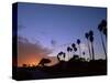 Palm Trees in Silhouette in Park on Bluff Overlooking the Pacific Ocean, Santa Barbara, California-Aaron McCoy-Stretched Canvas